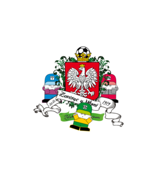 Polska, mój wspaniały kraj - Koszulka z nadrukiem - Nasze podwórko - Męska