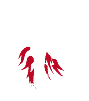 Made in Poland - Koszulka z nadrukiem - Patriotyczne - Męska