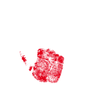 High five, Polaku! - Koszulka z nadrukiem - Patriotyczne - Męska