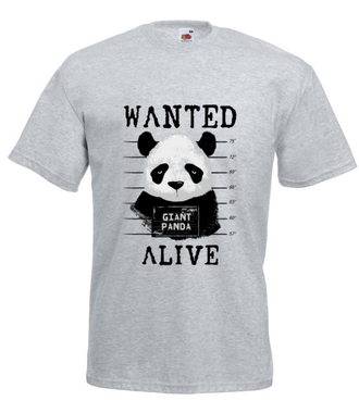 Poszukiwana panda - Koszulka z nadrukiem - Zwierzęta - Męska