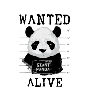 Poszukiwana panda - Bluza z nadrukiem - Zwierzęta - Damska z kapturem