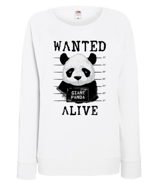 Poszukiwana panda - Bluza z nadrukiem - Zwierzęta - Damska