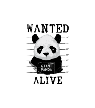 Poszukiwana panda - Bluza z nadrukiem - Zwierzęta - Męska z kapturem