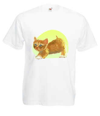 Uroczy kotek - Koszulka z nadrukiem - Miłośnicy kotów - Męska