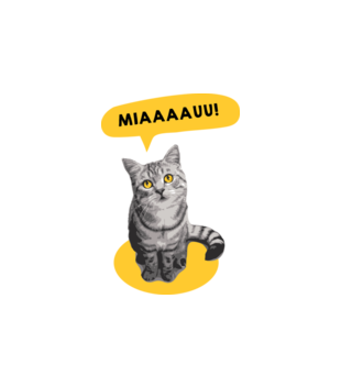 Koci alarm - Bluza z nadrukiem - Miłośnicy kotów - Damska z kapturem