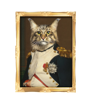 Napoleon Kotaparte - Bluza z nadrukiem - Miłośnicy kotów - Męska