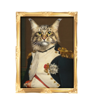 Napoleon Kotaparte - Bluza z nadrukiem - Miłośnicy kotów - Męska