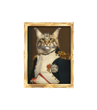 Napoleon Kotaparte - Bluza z nadrukiem - Miłośnicy kotów - Męska z kapturem