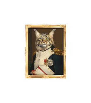 Napoleon Kotaparte - Poduszka z nadrukiem - Miłośnicy kotów - Gadżety